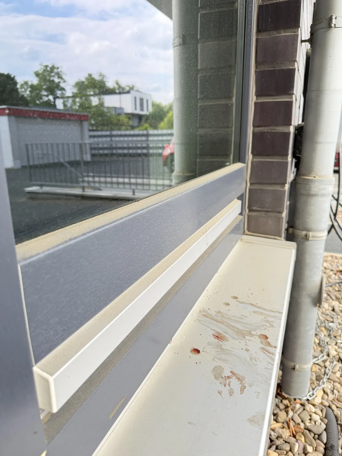 Fensterrahmen mit hartnäckigem Vogelkot vor der Reinigung – typisches Problem bei Fenstern in Grevenbroich